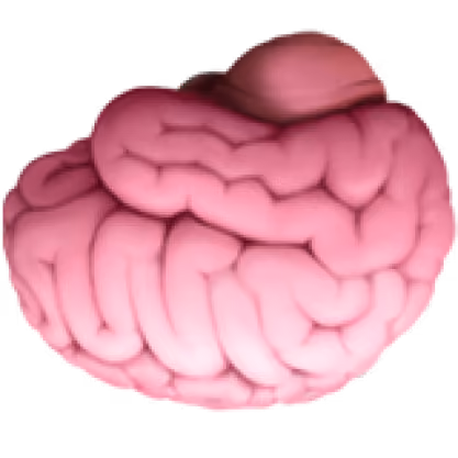 brain