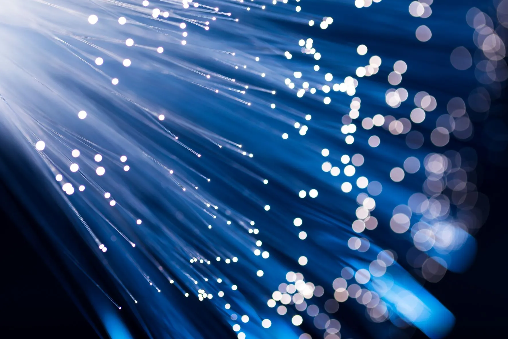 A photo of fiber that represents high-tech.