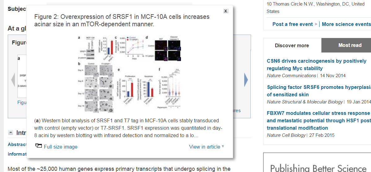 semantic publishing document