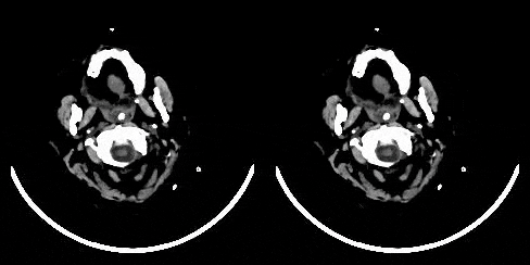 paralleldots research