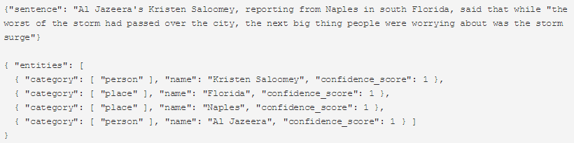 Named entity recognition paralleldots api