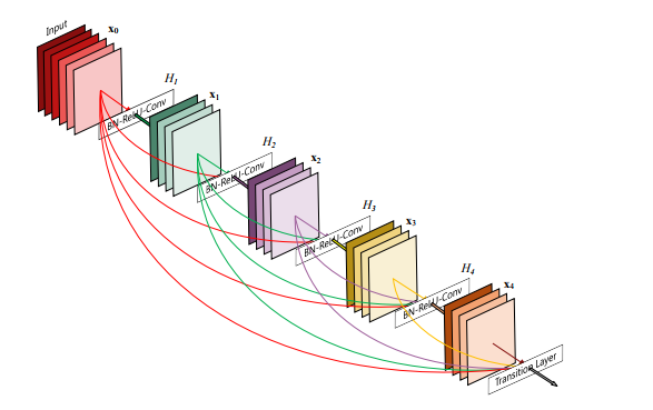 Image Classification densenet