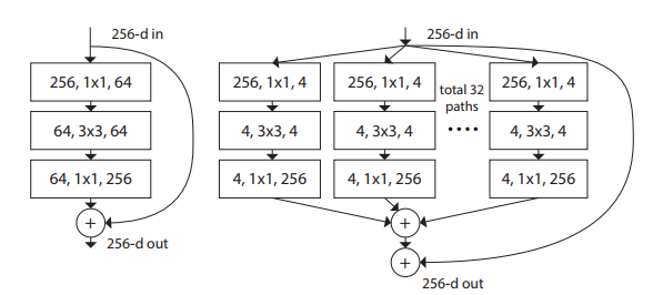 Image Classification resnext