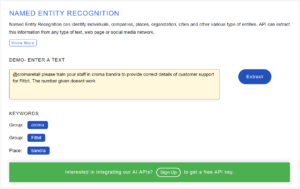 Named Entity Recognition