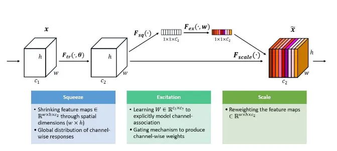 Image Classification SENets