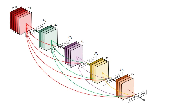 Image Classification densenet
