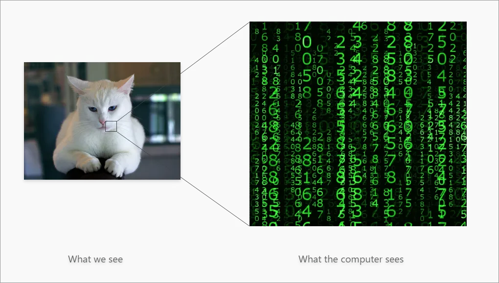Image Classification Papers