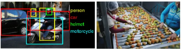 object detection