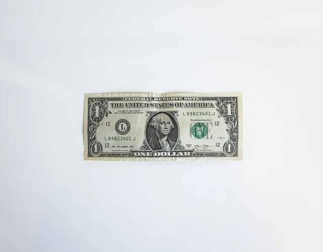 Launching Our Super Affordable Student License