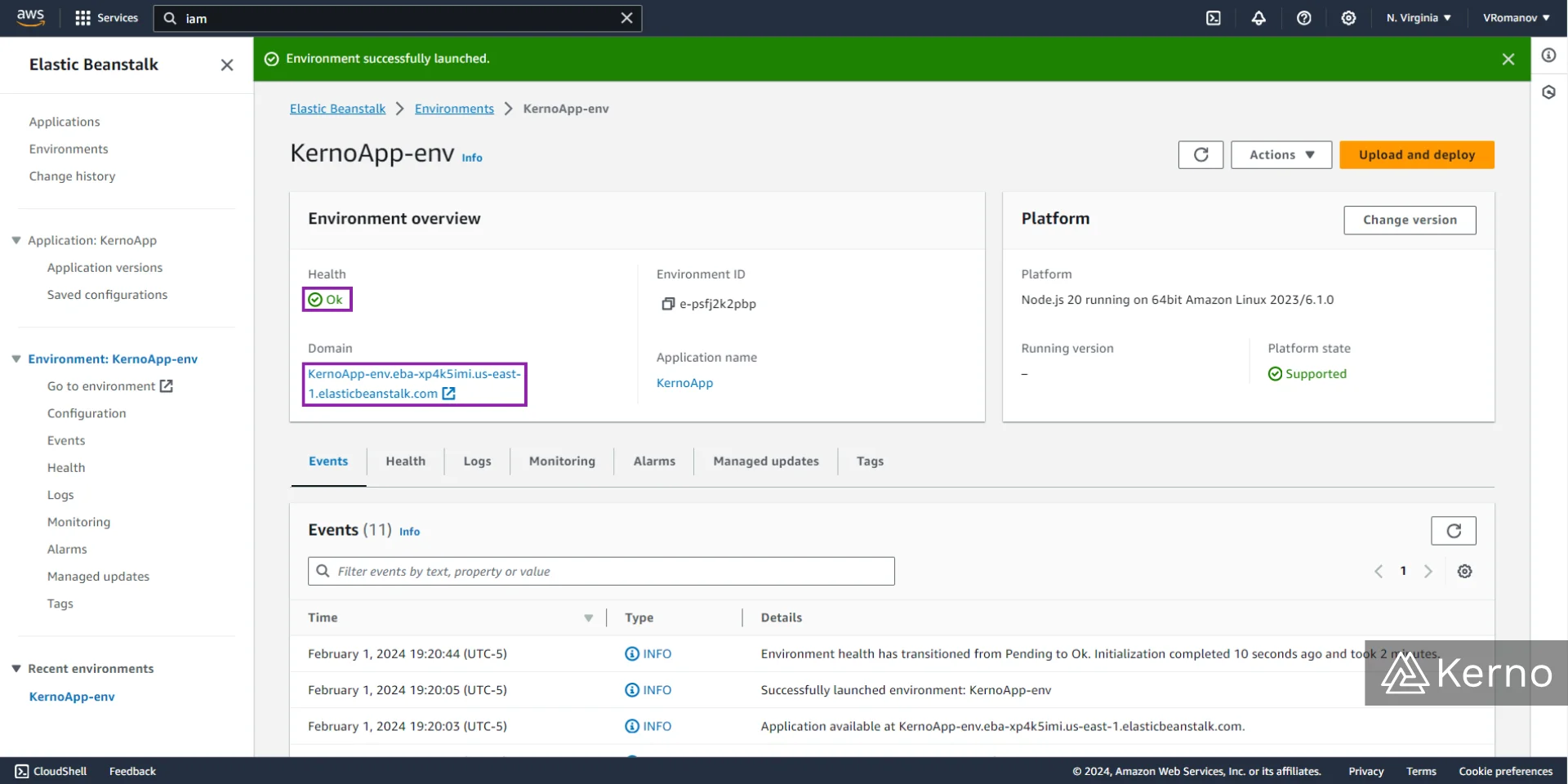 Figure 15 - AWS Elastic Beanstalk | Accessing the Application Deployed via AWS Beanstalk