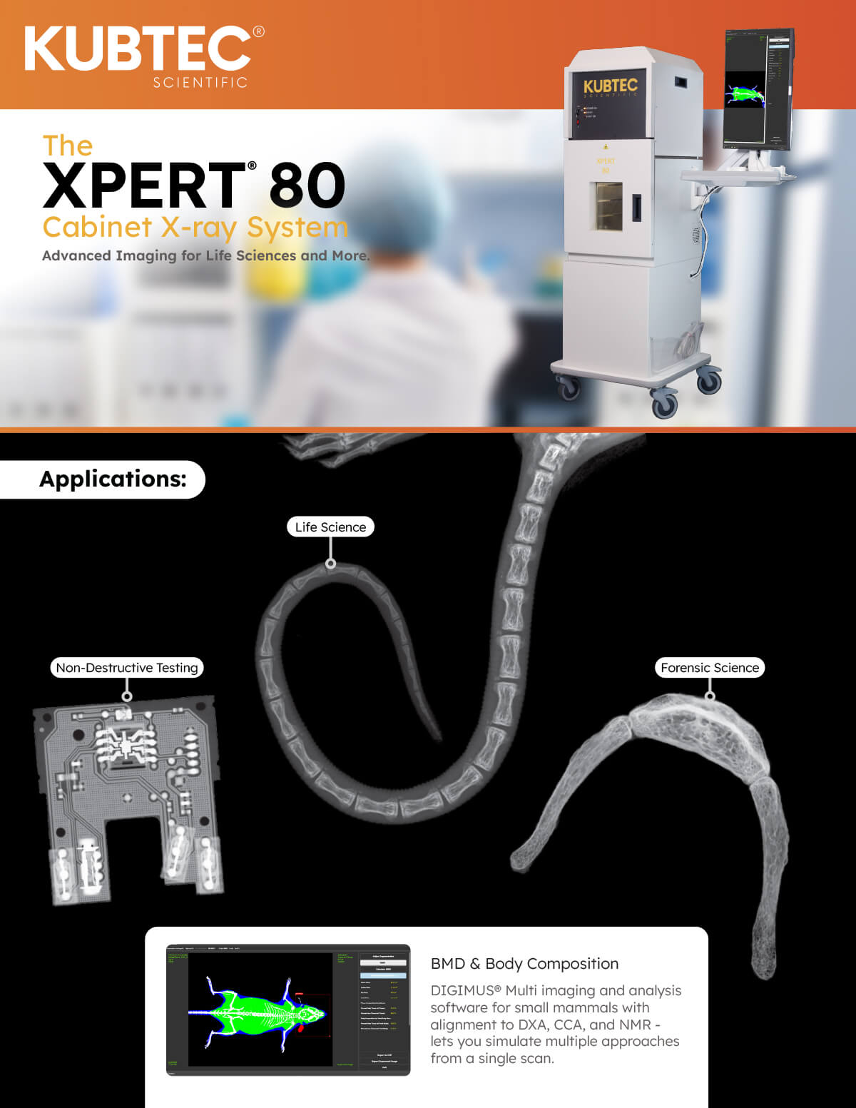 XPERT® 80 X‑ray System
