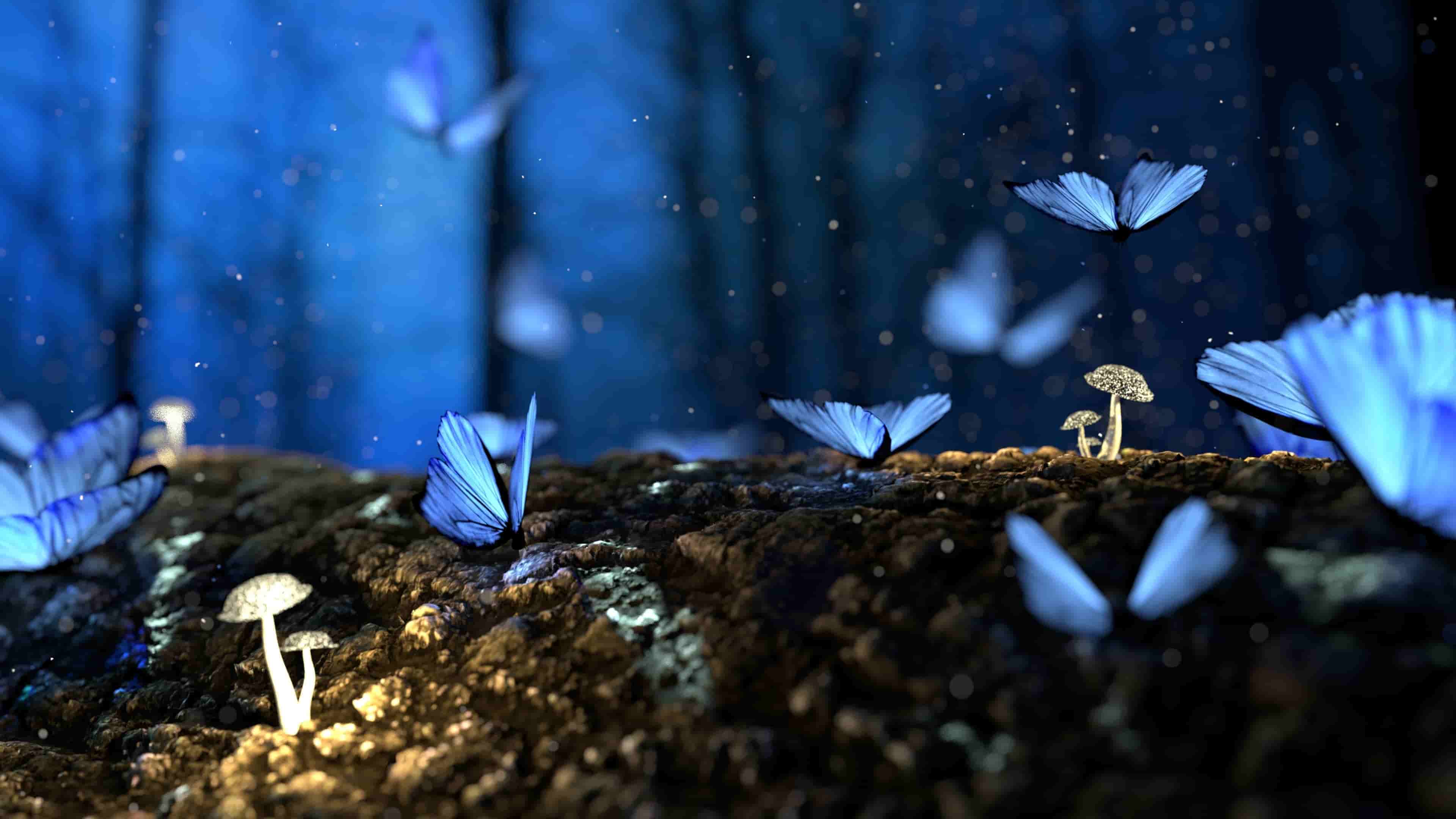 Mariposas en el estómago: qué son y por qué las sentimos