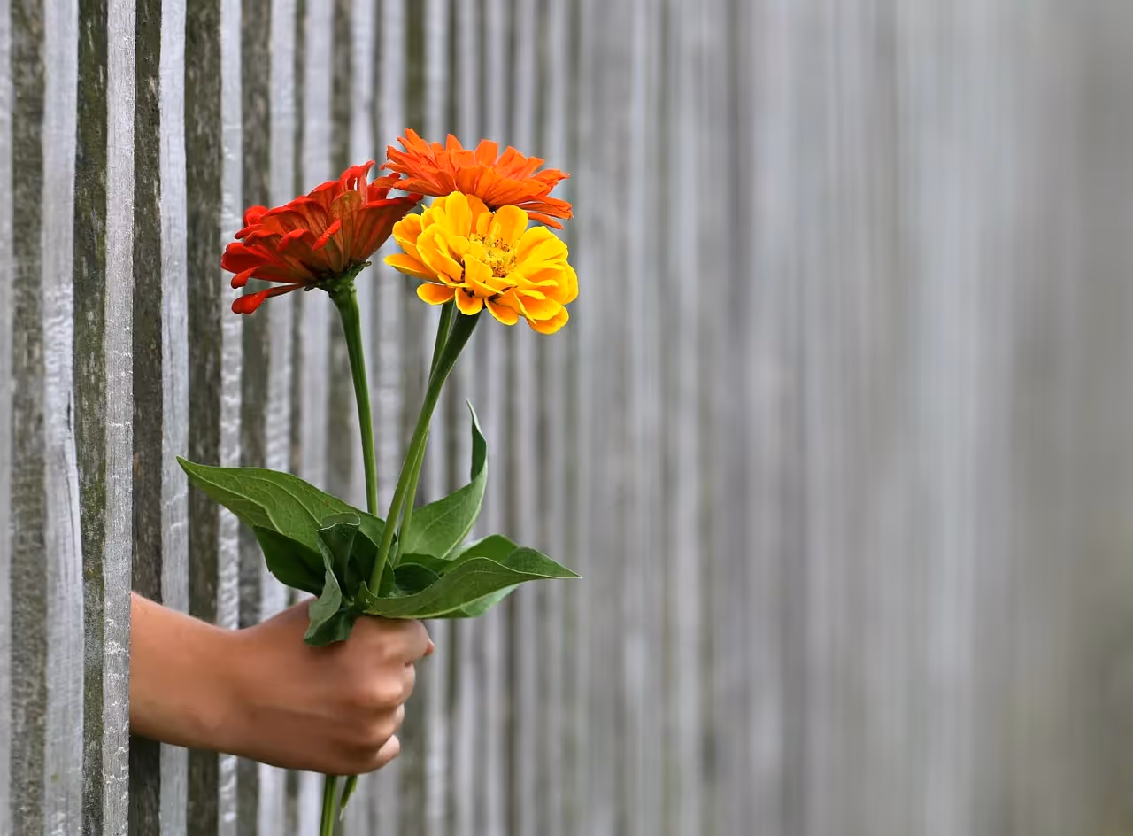 psicologia del regalo