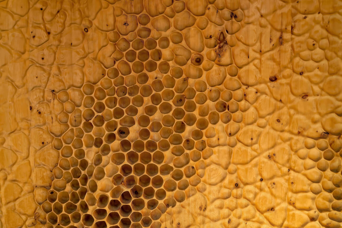 La Tripofobia: la paura dei buchi