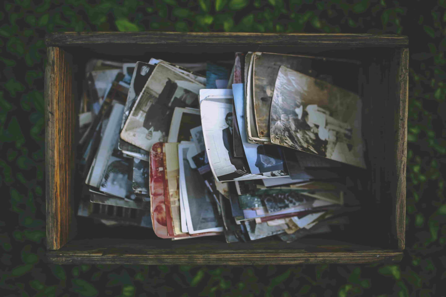 La Sindrome degli Antenati: quanto incide il proprio albero genealogico sul presente?