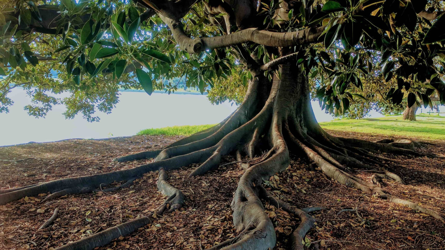 Grounding: il radicamento fisico ed emotivo