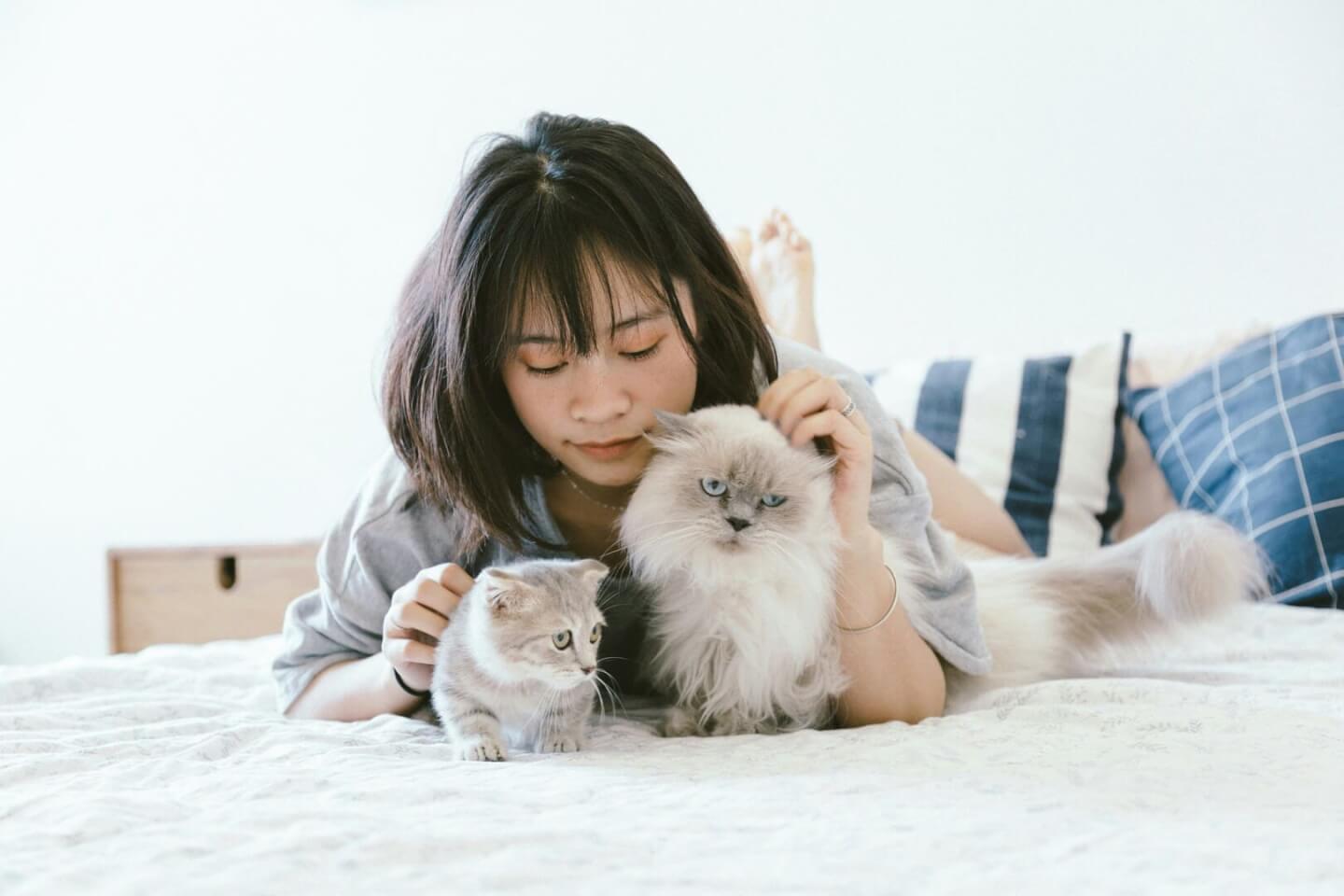 Animal hoarding: l’accumulo compulsivo di animali