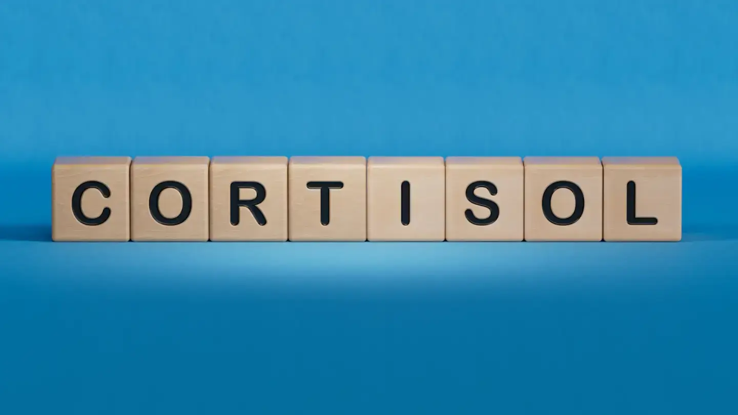 Cortisolo: cos'è l’ormone dello stress e a cosa serve