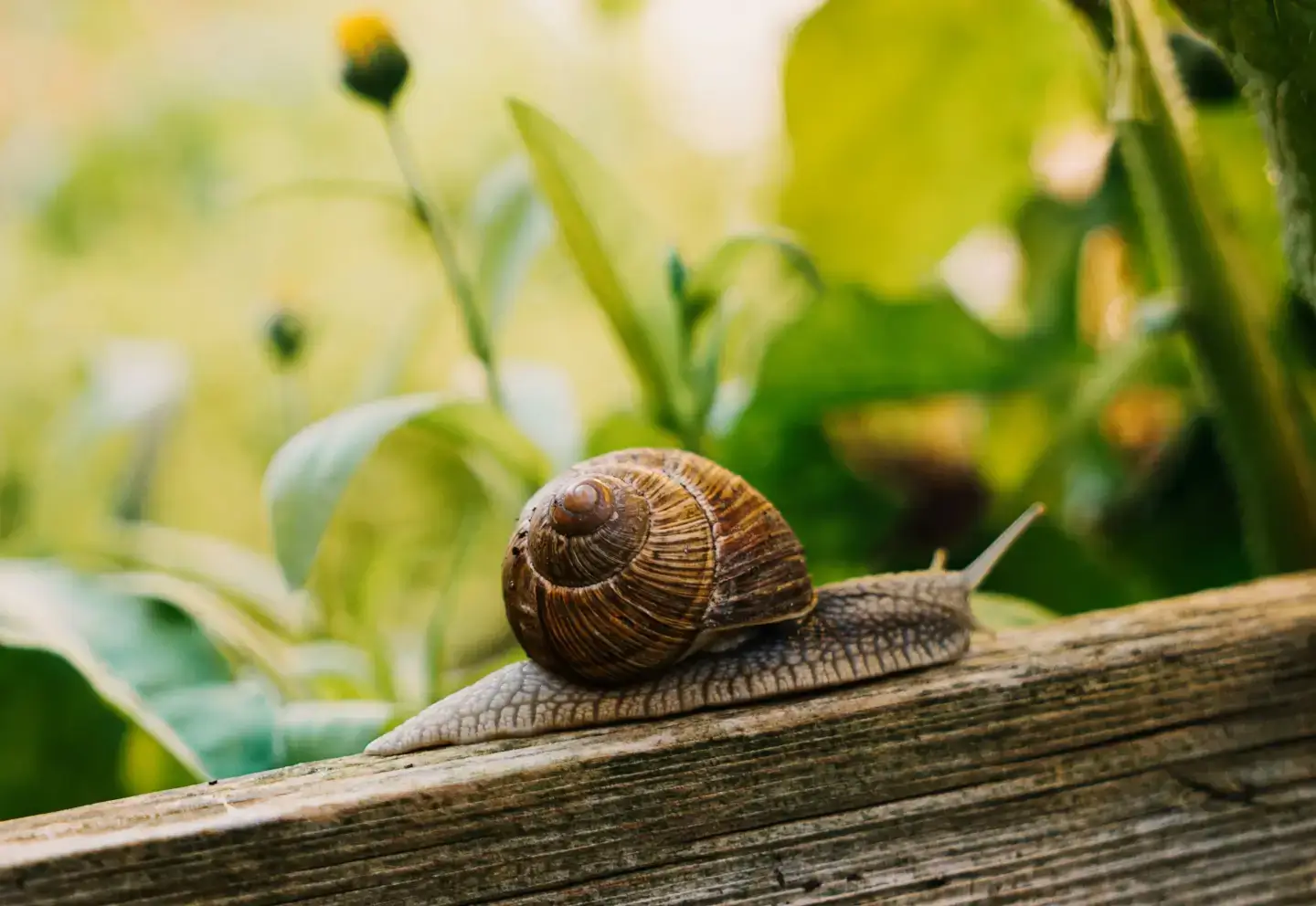 Adottare uno stile di vita slow: come, dove e perché?
