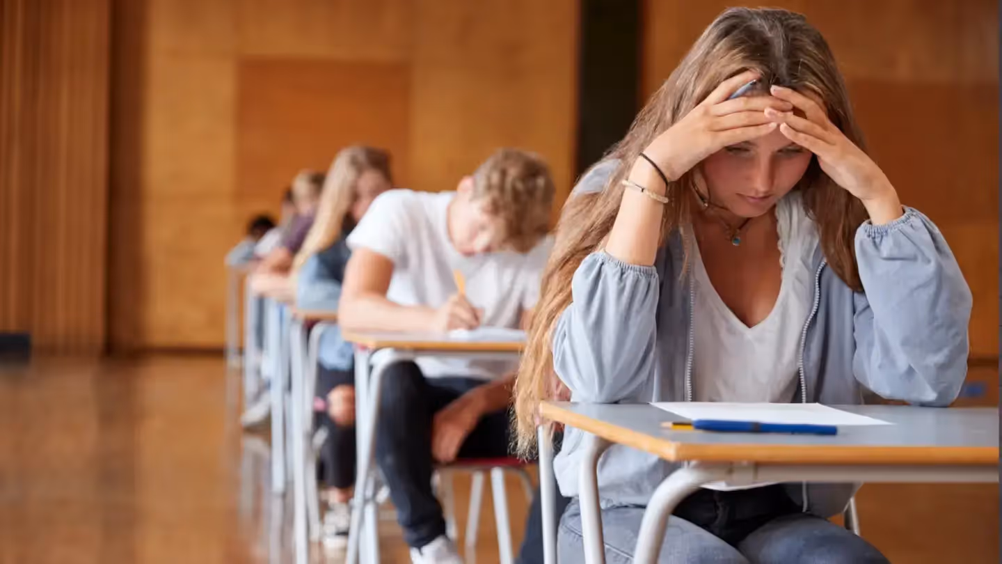 Maturità ti avessi preso prima: manuale di sopravvivenza per l’esame di stato