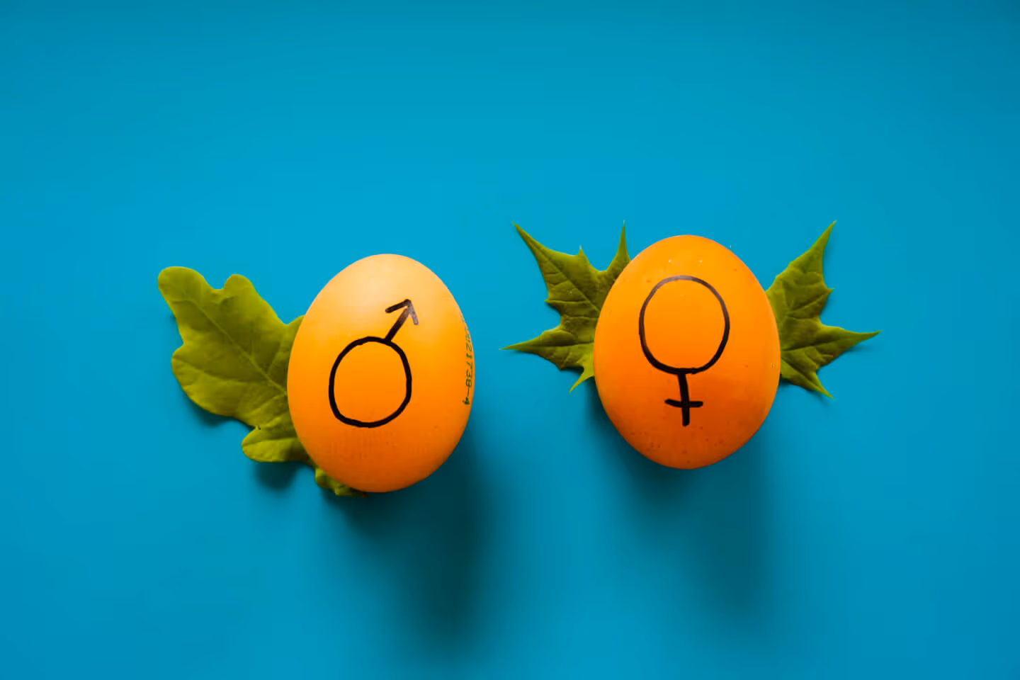 Maschi, femmine, donne, uomini: di che genere stiamo parlando?