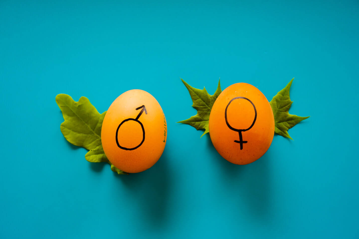 Maschi, femmine, donne, uomini: di che genere stiamo parlando?