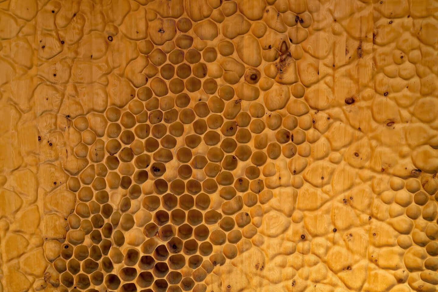La Tripofobia: la paura dei buchi
