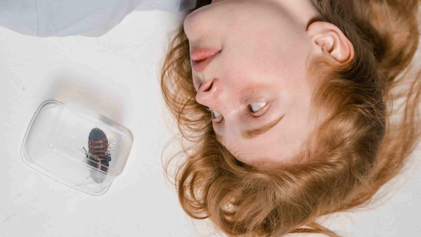 Entomofobia: la paura degli insetti