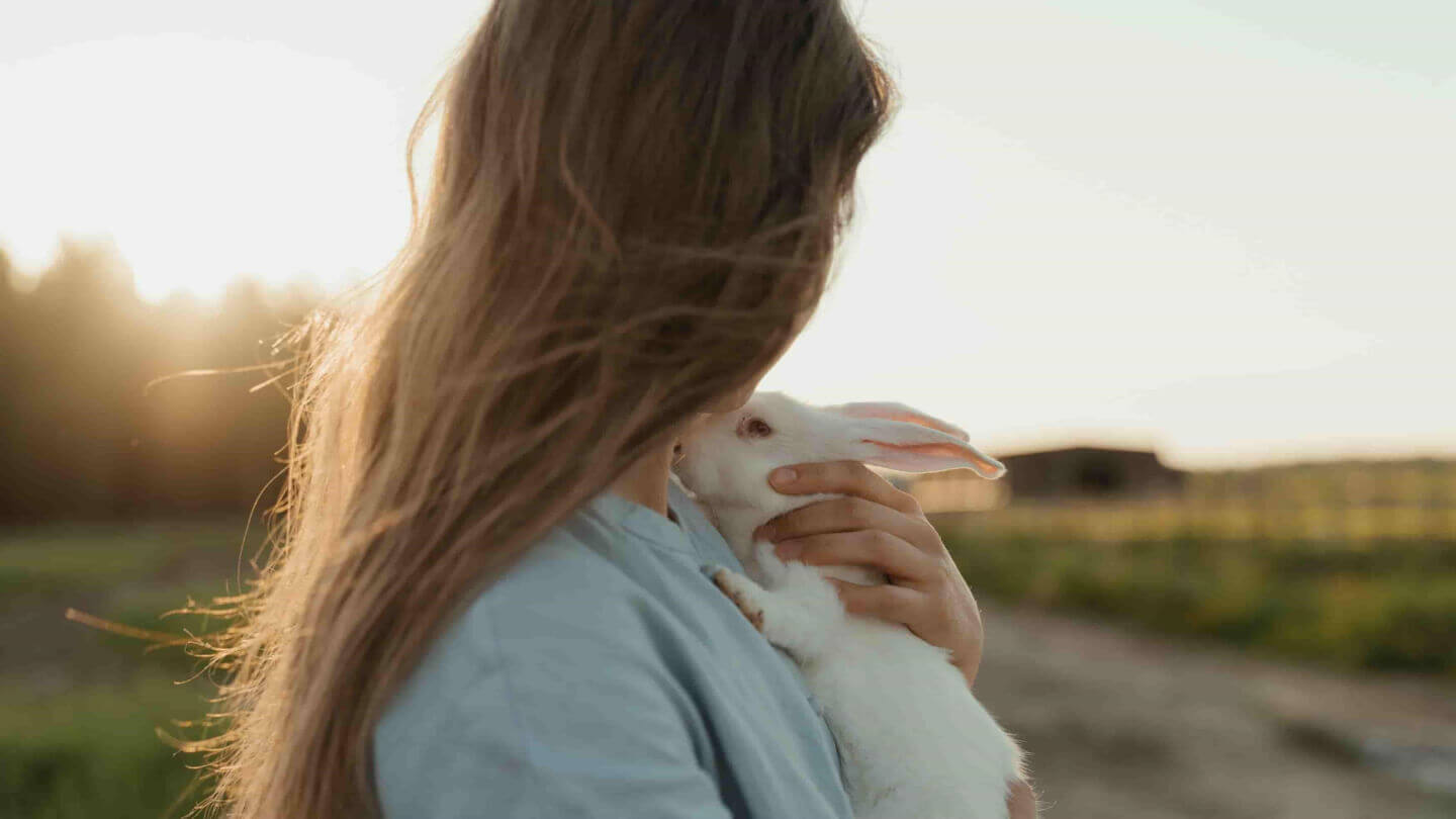 Alice nel paese delle meraviglie e la forza dei sogni