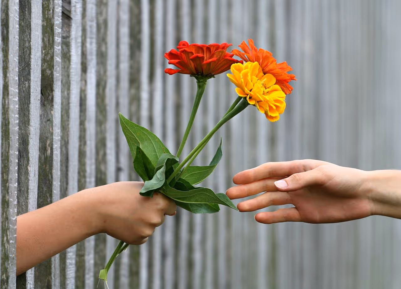 responsabilidad afectiva en las relaciones interpersonalles