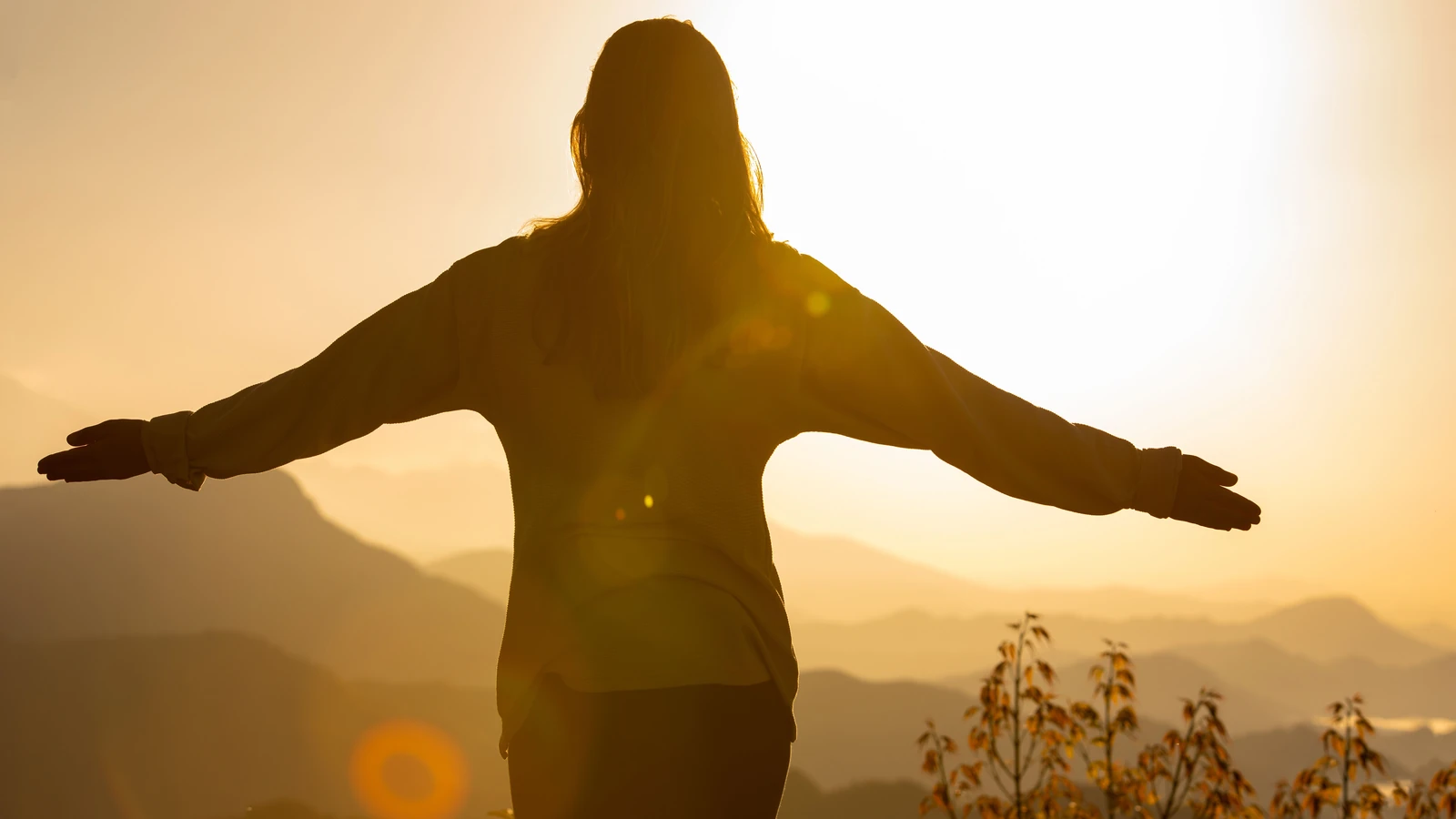 Immagine gratuita di abbracciare la natura, alba, alzati e risplendi