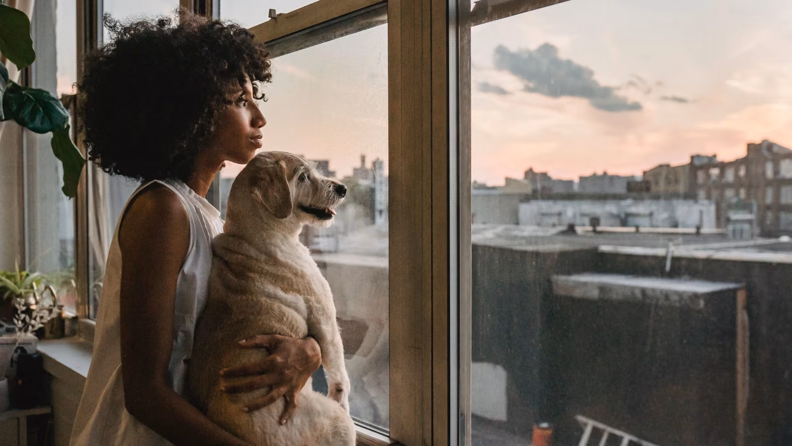 Donna che abbraccia il cane in piedi vicino alla finestra — Samson Katt – Pexels