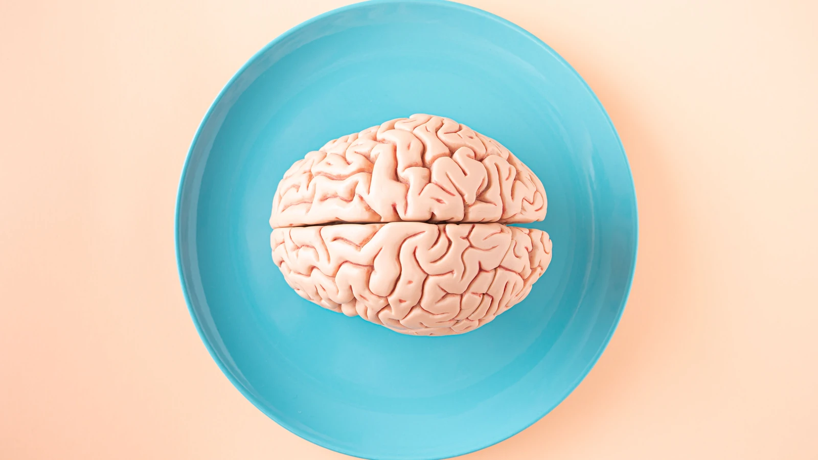 Immagine gratuita di accademico, allenamento, anatomia