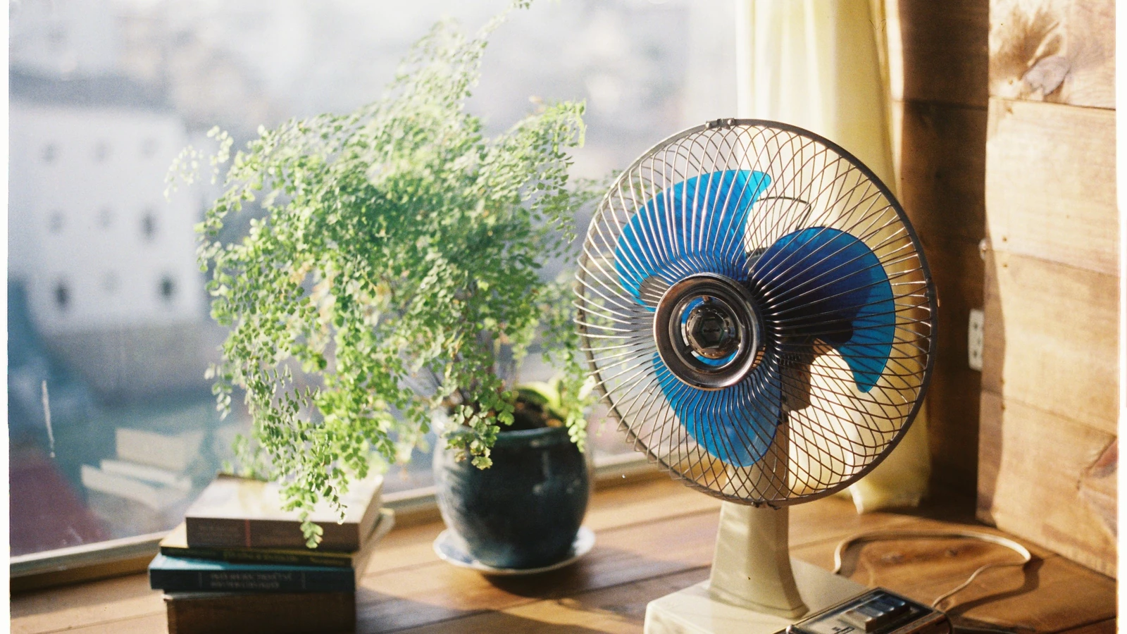 Una stanza soleggiata con un ventilatore vintage, pianta e libri su un tavolo di legno.