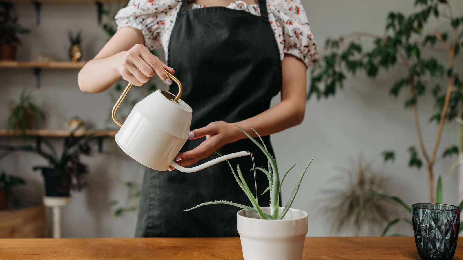 Una giovane donna annaffia una pianta in vaso all'interno, enfatizzando la cura delle piante e il giardinaggio domestico.