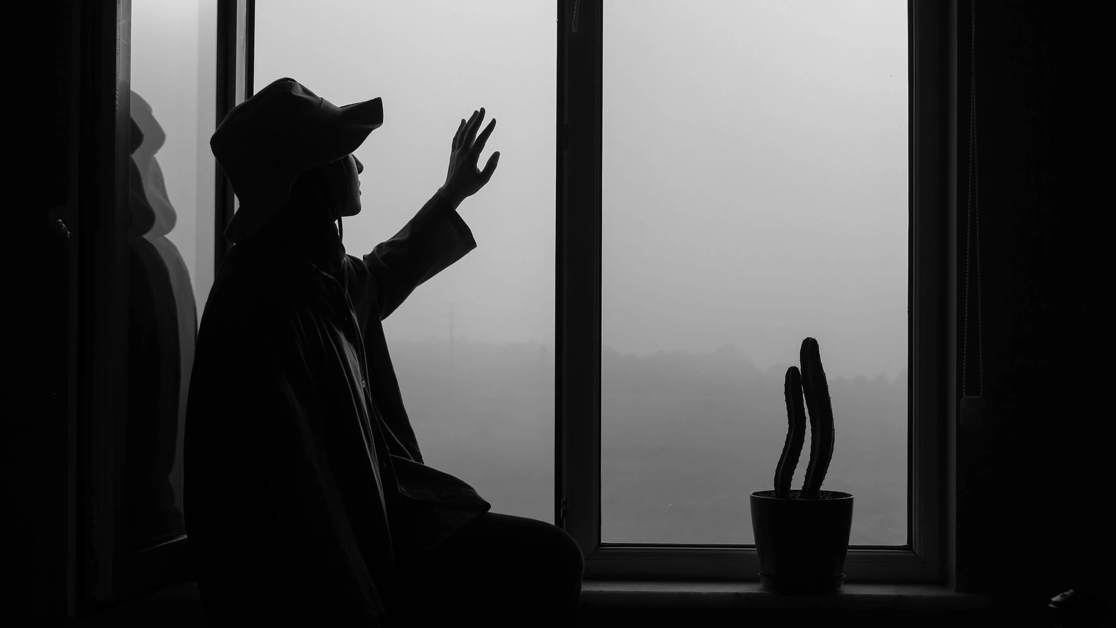 Una persona silhouettata da una finestra si allunga verso la luce, accanto a un cactus.