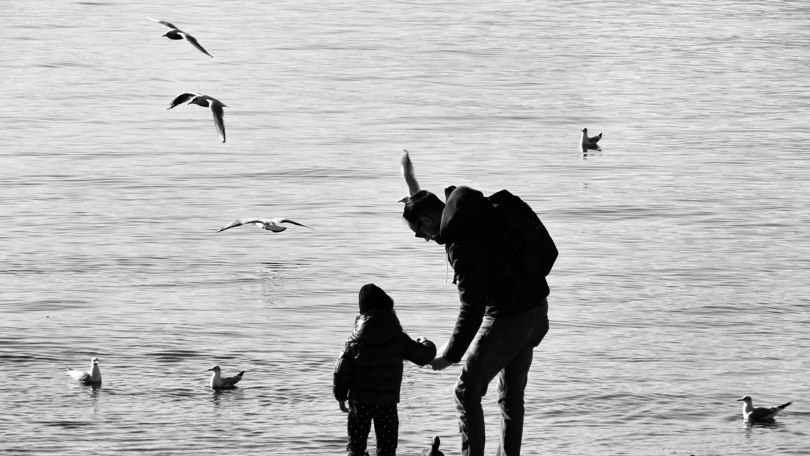 Silhouette di un padre e di un bambino sulla riva, circondati da uccelli a Lecco, Italia. — Letiaunt – Pexels
