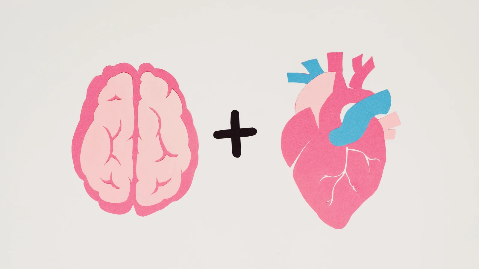 Arte creativa che presenta un cervello e un cuore su uno sfondo bianco simboleggiando logica ed emozione.