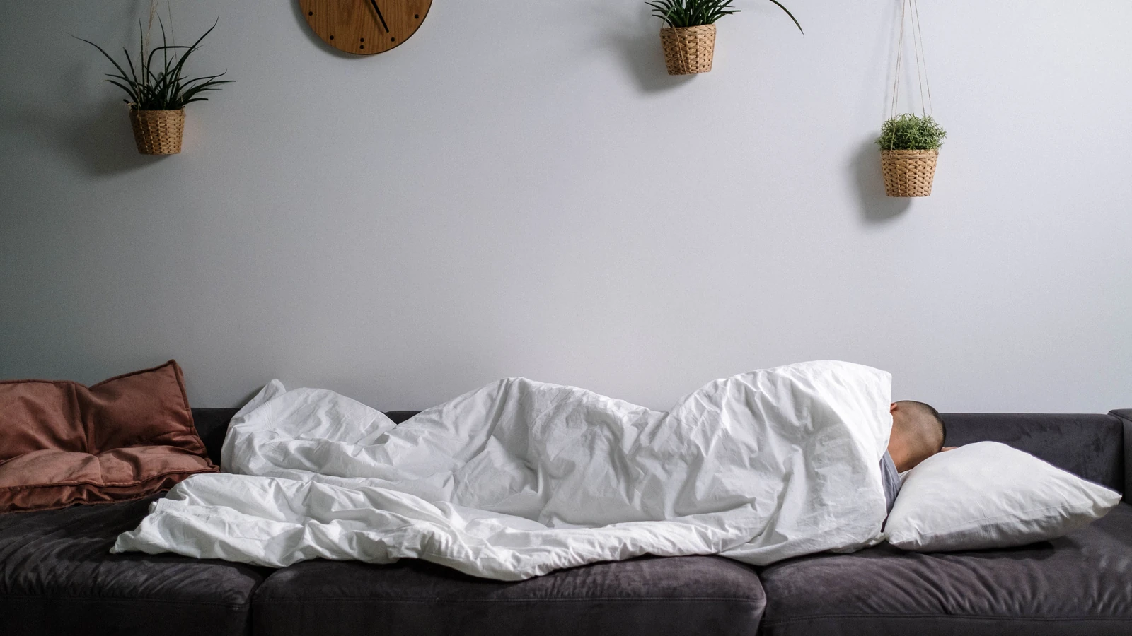 Persona che dorme su un divano in un ambiente interno accogliente con piante e un orologio da parete.