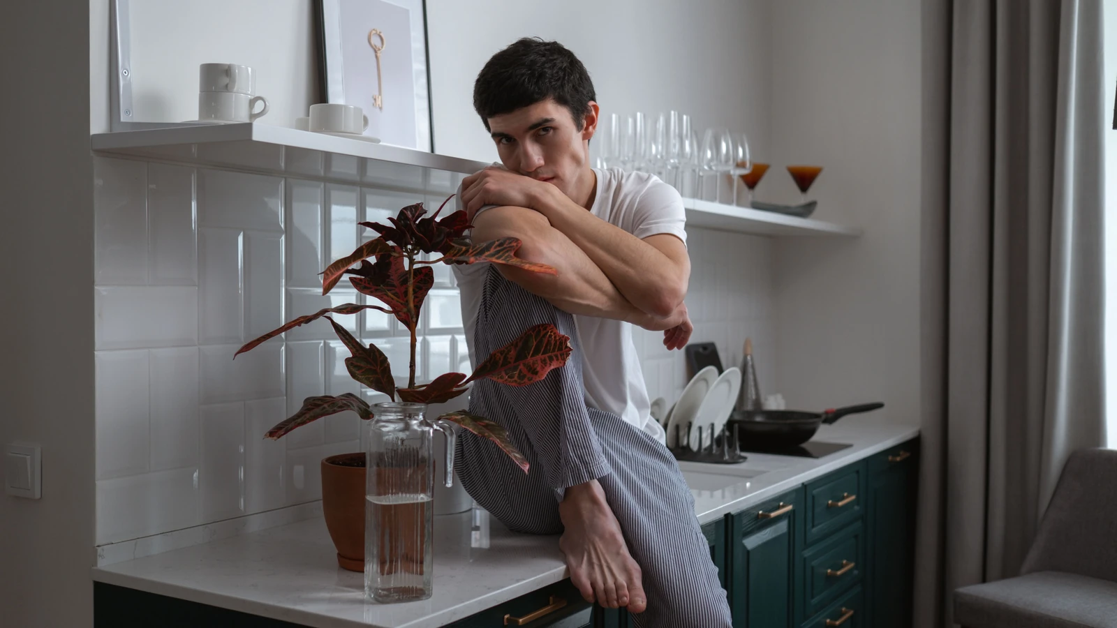 Uomo seduto sul bancone della cucina con una pianta caladio che gode di un momento tranquillo al coperto.