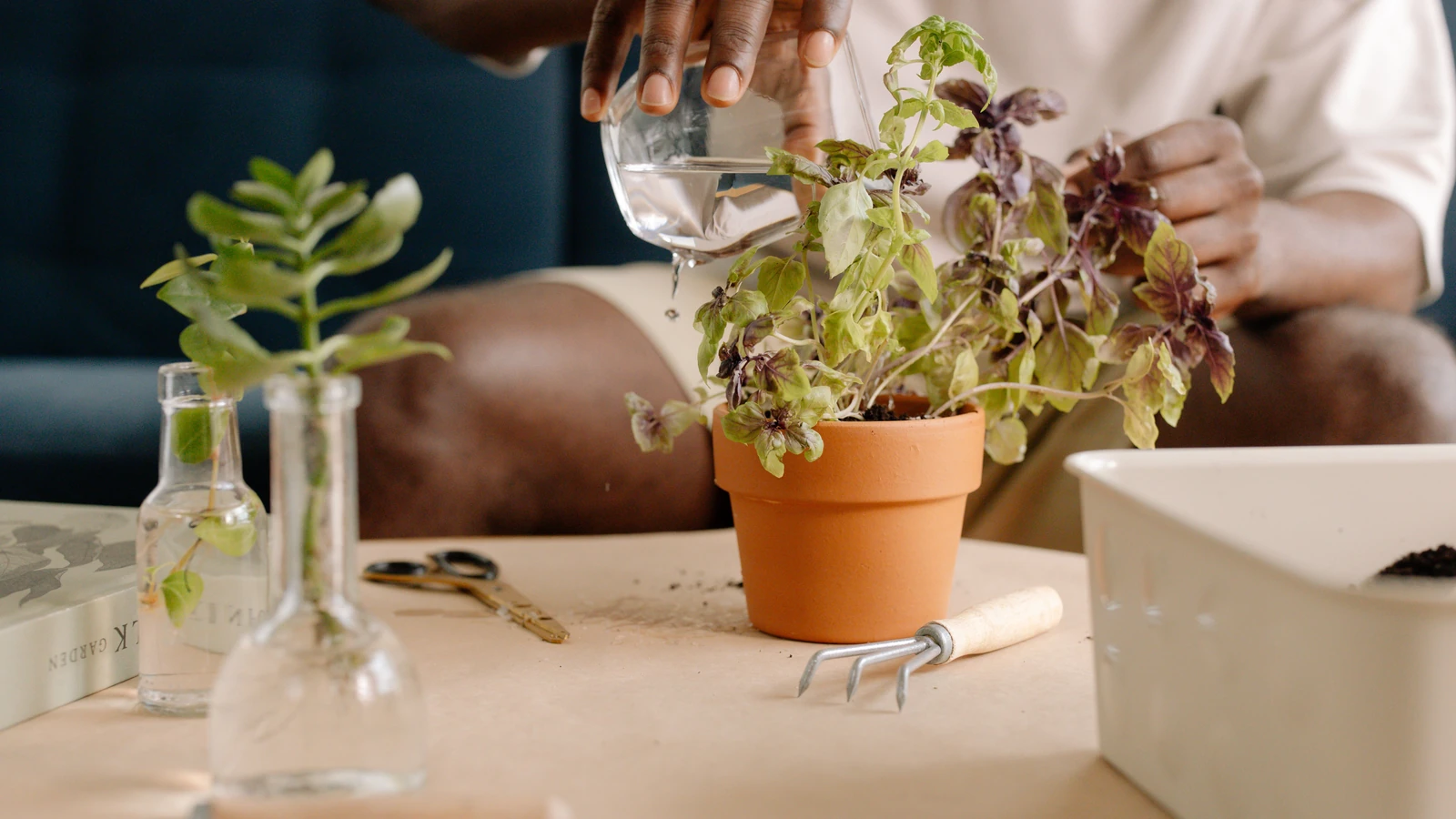 Una persona che si prende cura di una pianta in vaso all'interno, con attrezzi da giardinaggio e bottiglie di vetro nei dintorni.