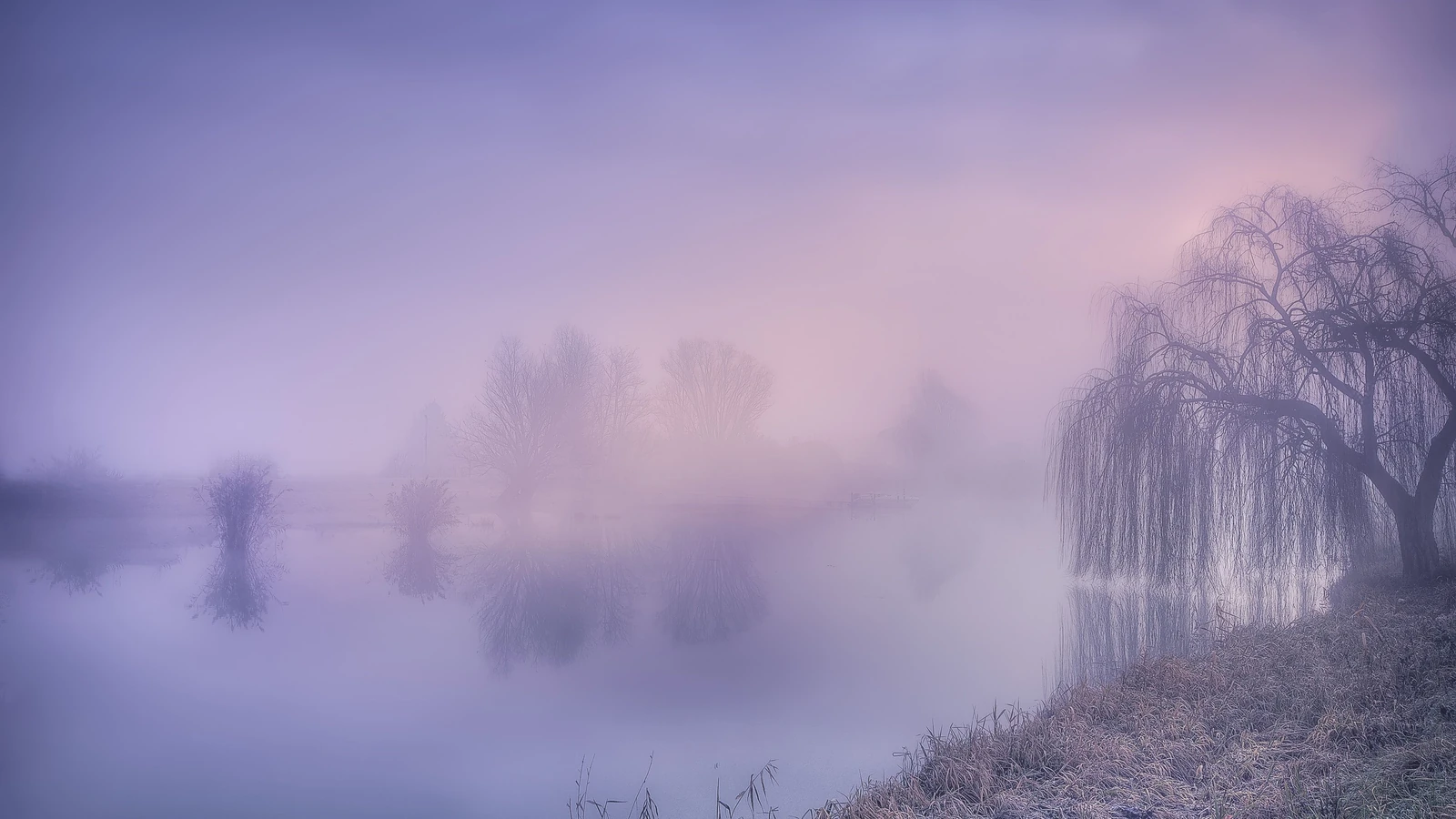 Brain fog: quando la mente sembra avvolta nella nebbia