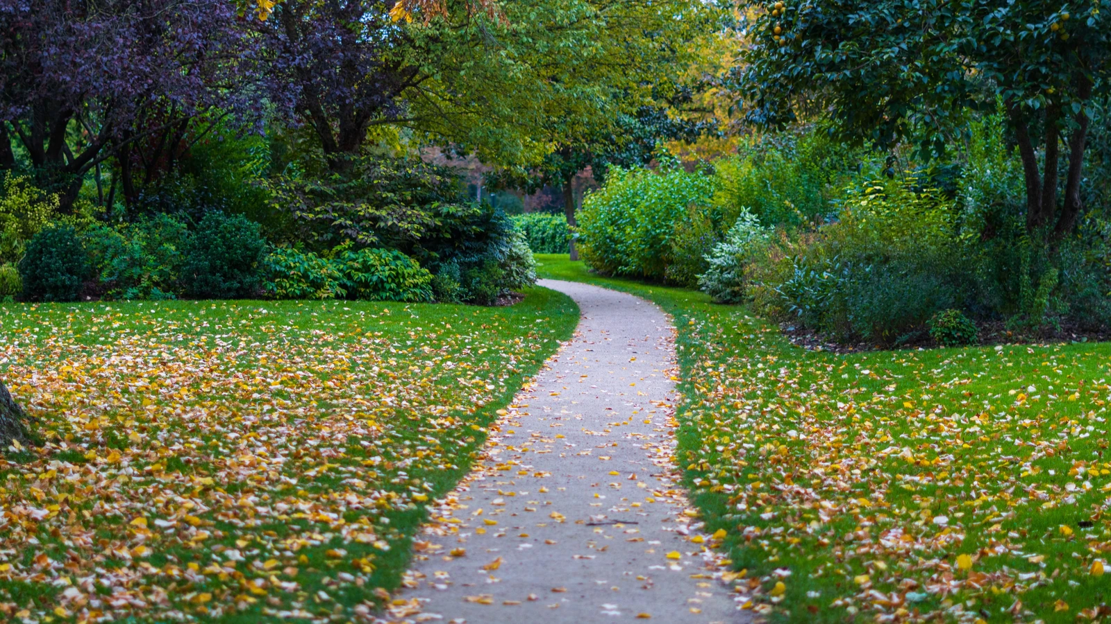 Affascinante sentiero attraverso un lussureggiante parco di Parigi in autunno, con foglie colorate e vegetazione.