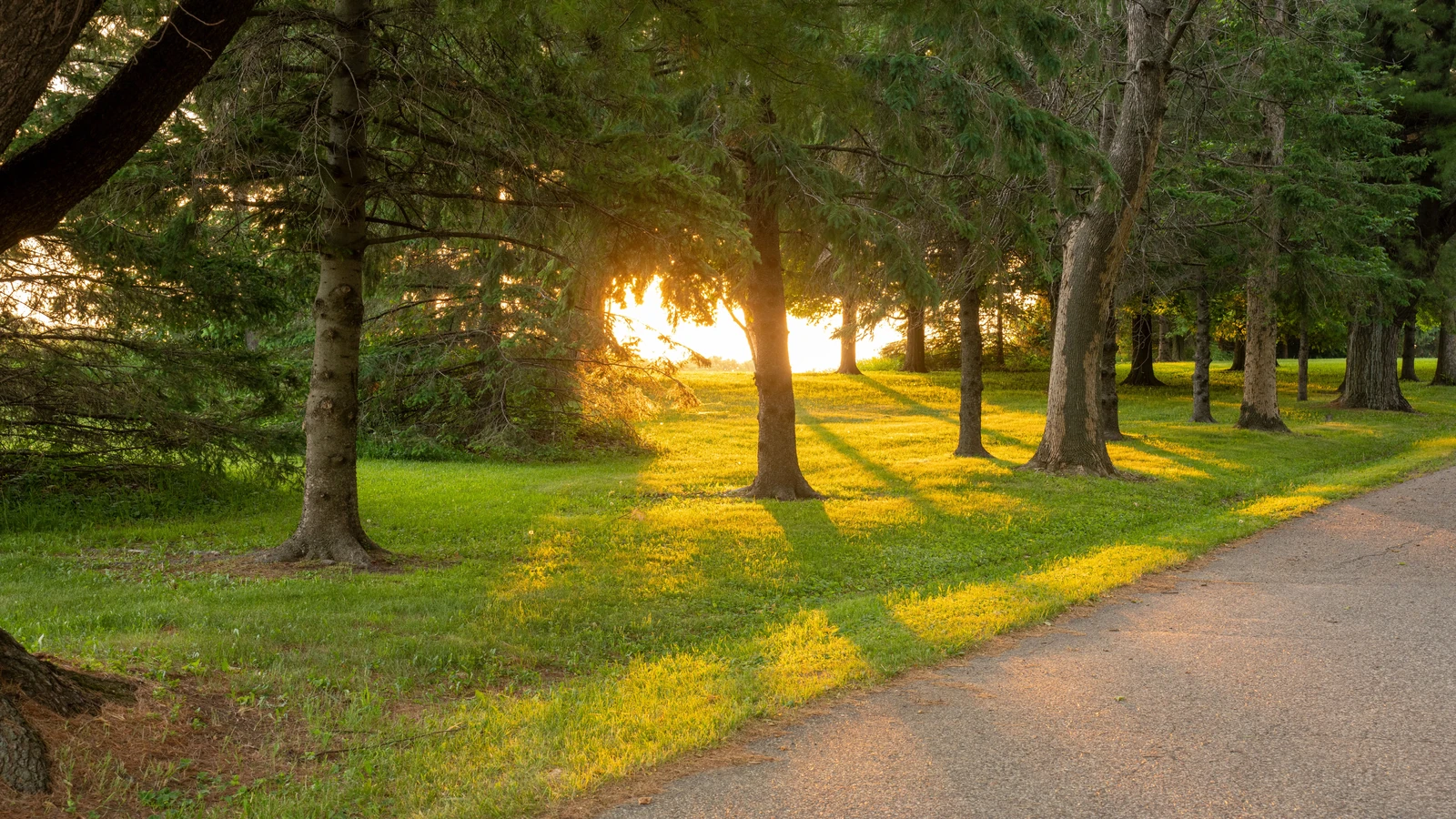 La luce del sole che filtra tra gli alberi al tramonto in un sereno parco di Lund, Wisconsin.