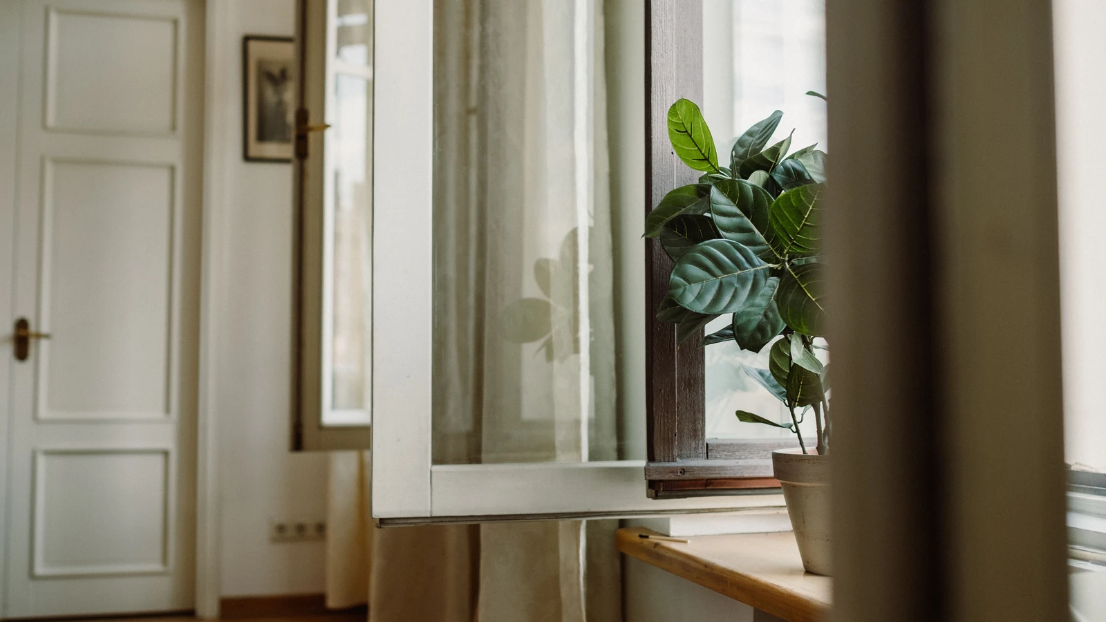 Una scena interna serena con una lussureggiante pianta in vaso accanto a una finestra aperta con tendaggi morbidi e fluenti.