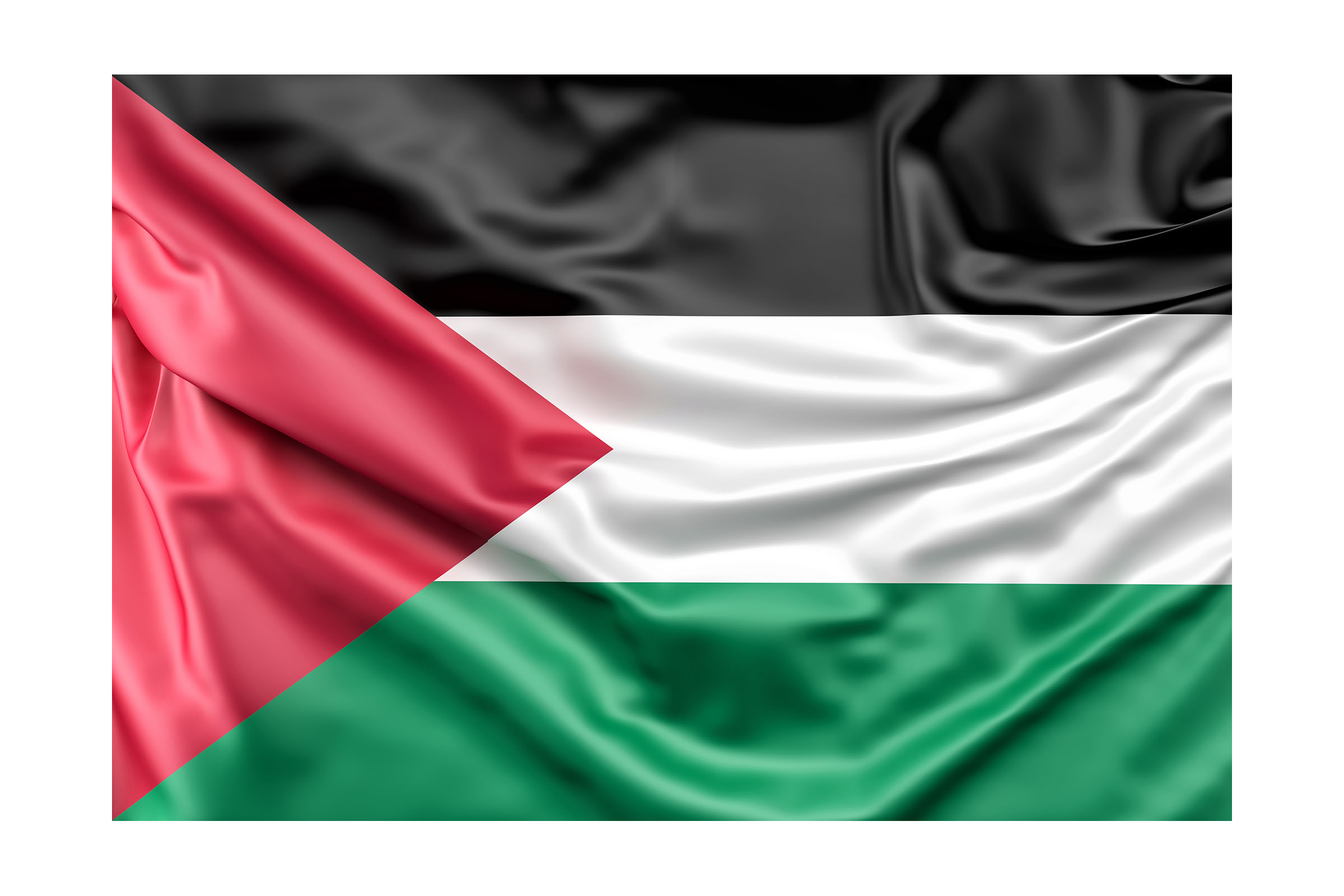 A Palestinian Flag