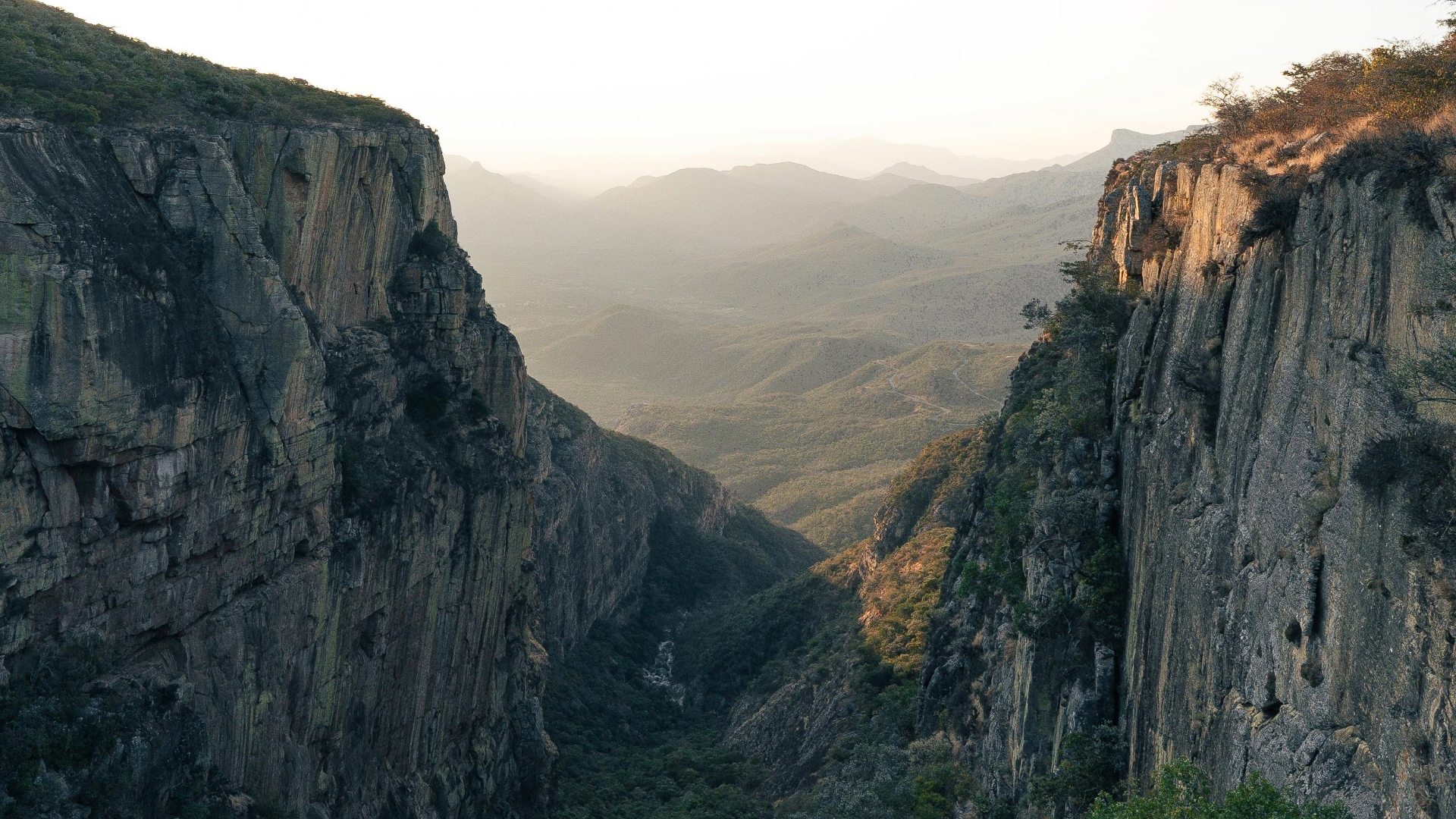 Jungle Gorge