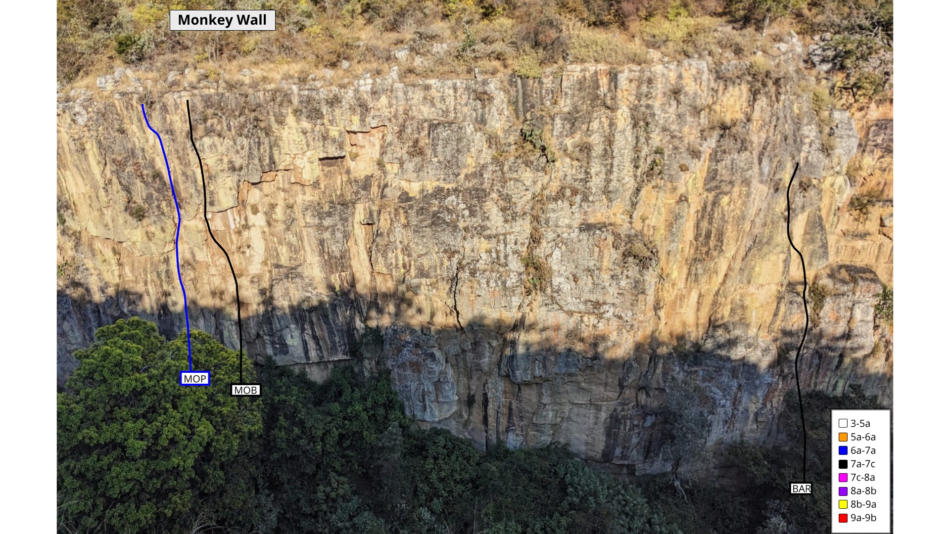 A crag with a huge trees by the base of the wall