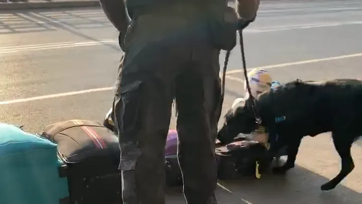 Return to the trustee k9 bag inspection method.