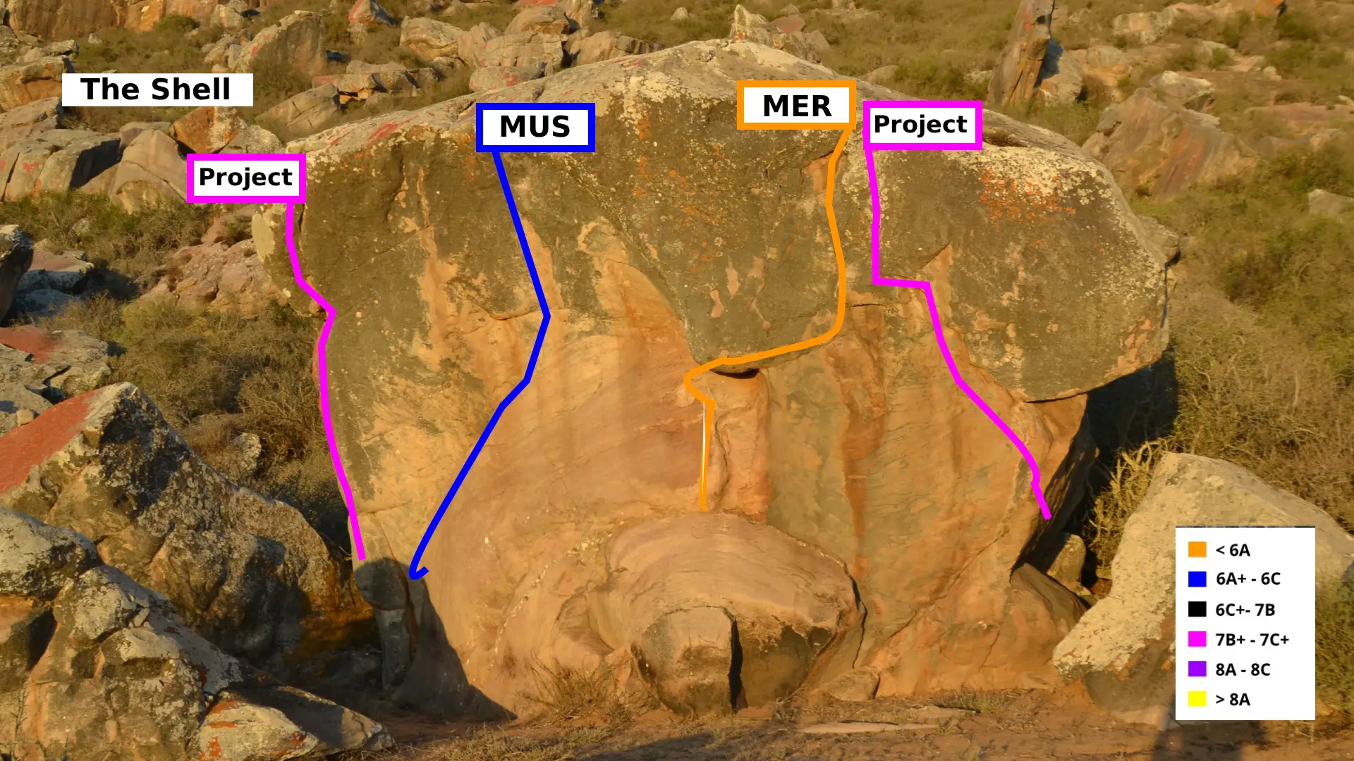 Named after it distincive clam shell look !